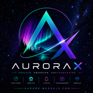 logo3